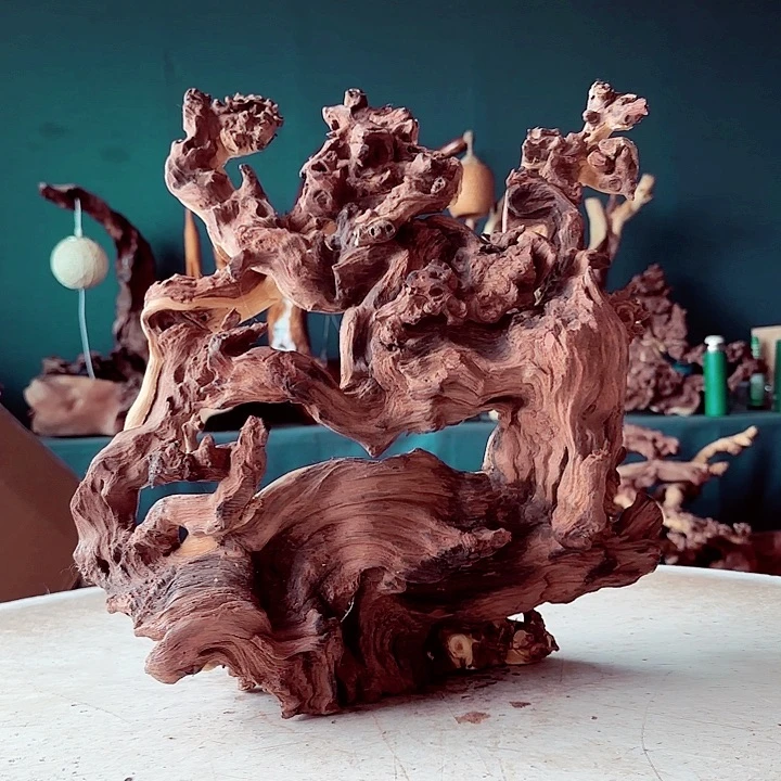 君***》木053金丝红木羊蹄甲半成品