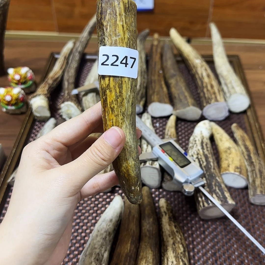 手串/手链鹿骨2247角尖