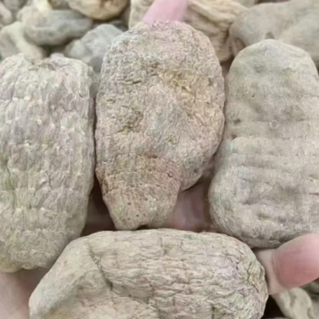 正宗云南昭通小草坝天麻