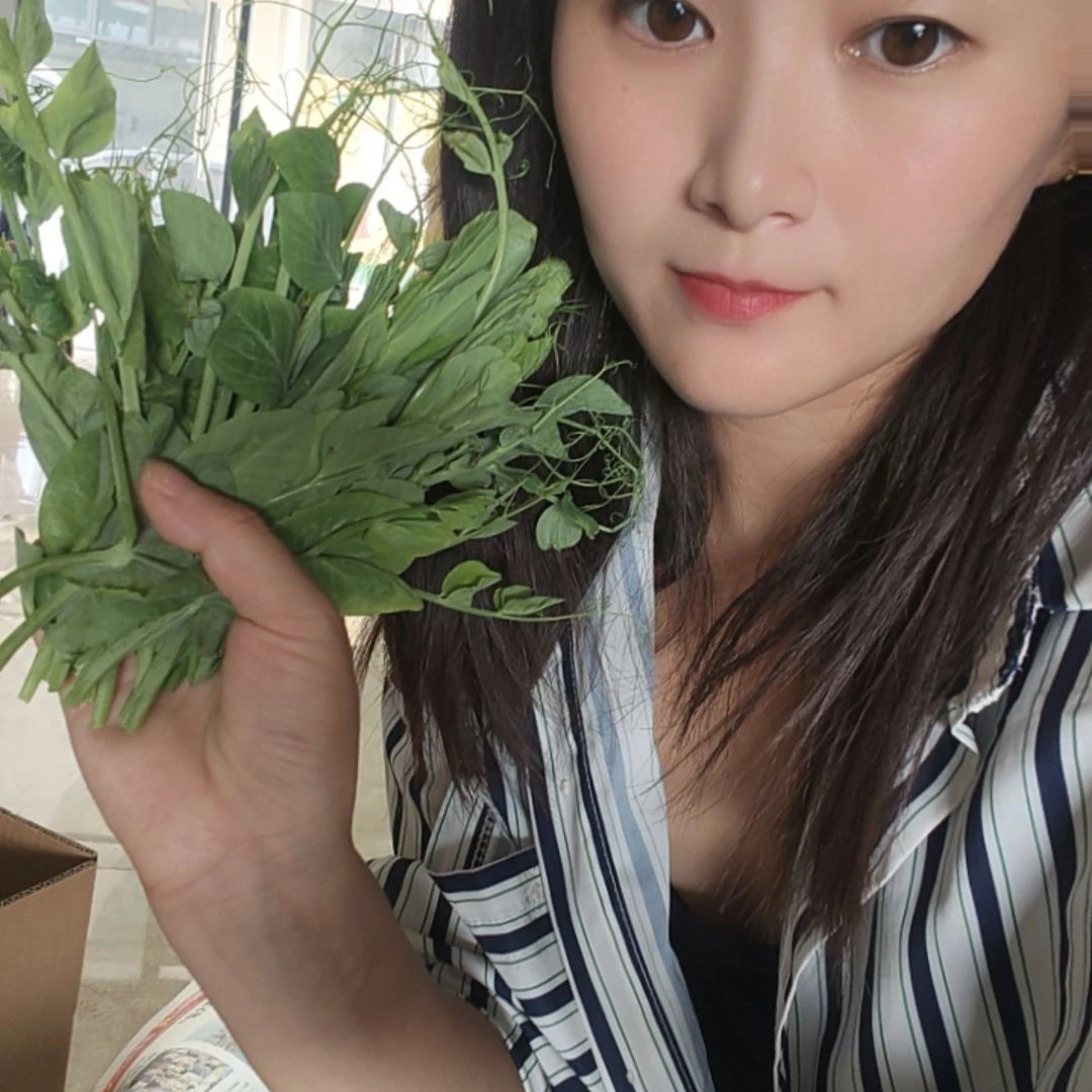 四川豌豆尖豌豆苗4斤新鲜现摘现发48小时发货