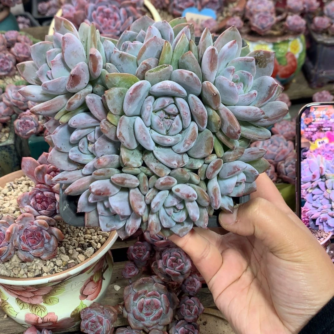 哈哈哈哈哈哈哈哈哈哈哈