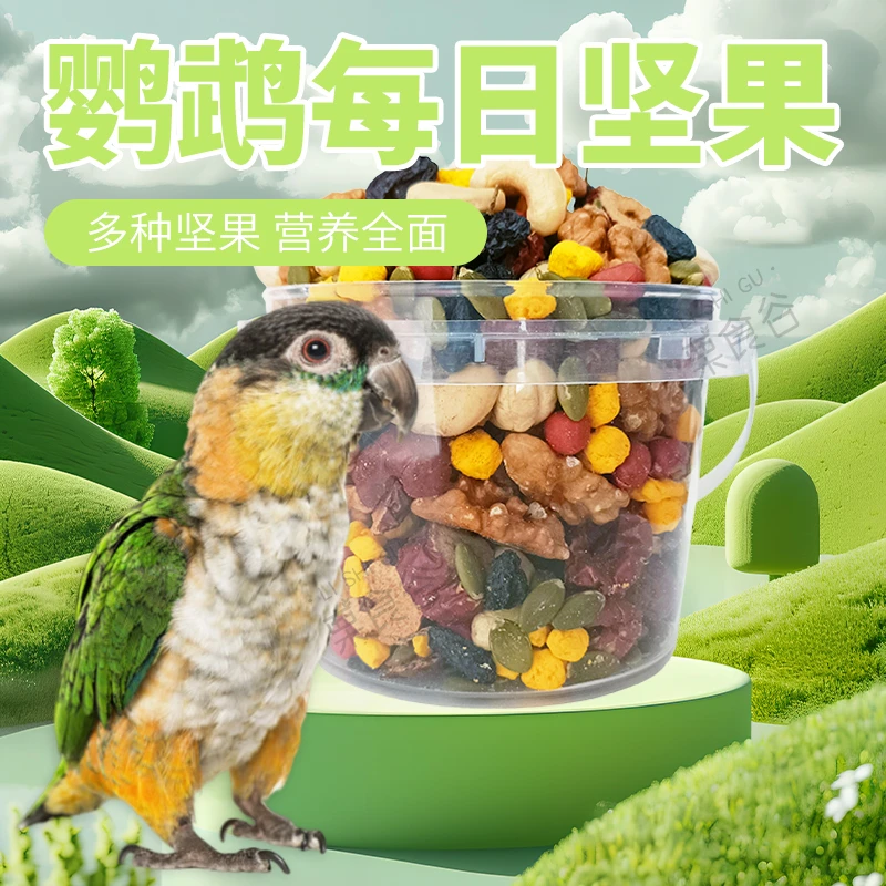 鹦鹉坚果零食互动腰果核桃黑加仑南瓜籽鸟宠零食美毛亮羽混合粮食