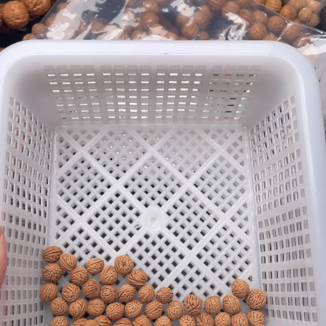 【闪购商品】雅*斋散子发货70米