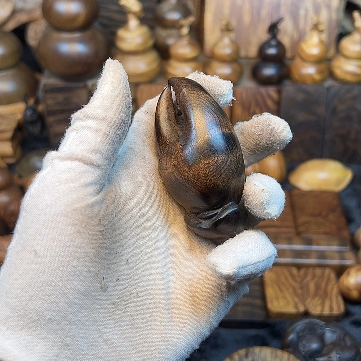 楠木金丝楠木小叶