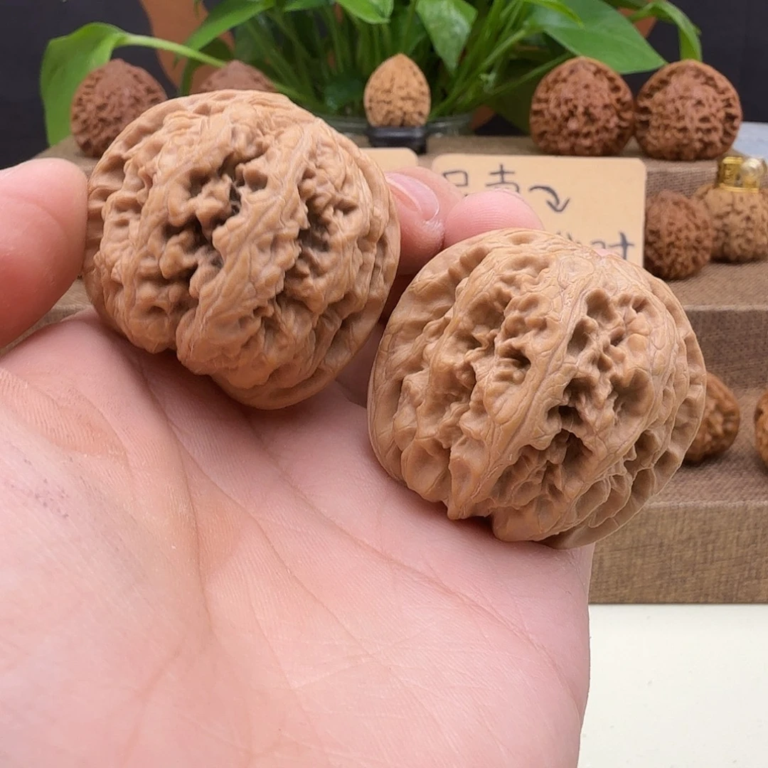 J***.全品大粗筋41/41/38