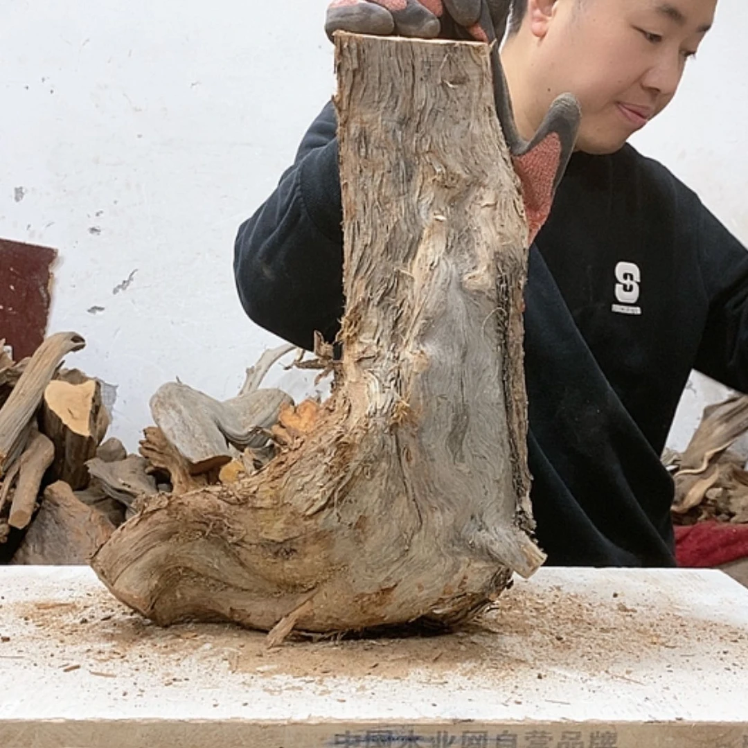 【闪购商品】柏木小*倩我们都是好孩子