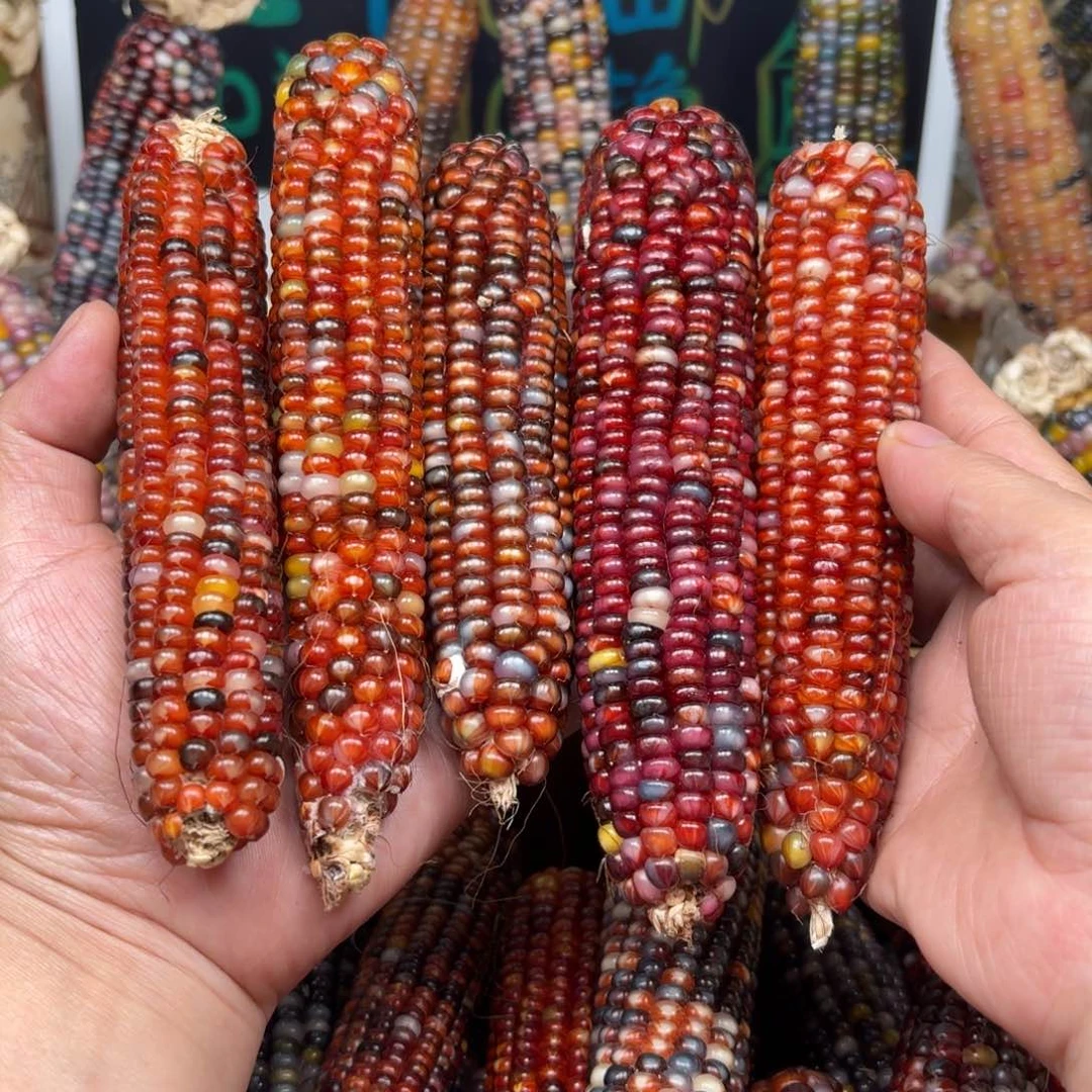 柏香籽/百香籽吊坠幸***者