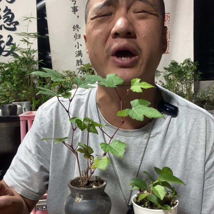 无花朵退款拉黑拉黑130