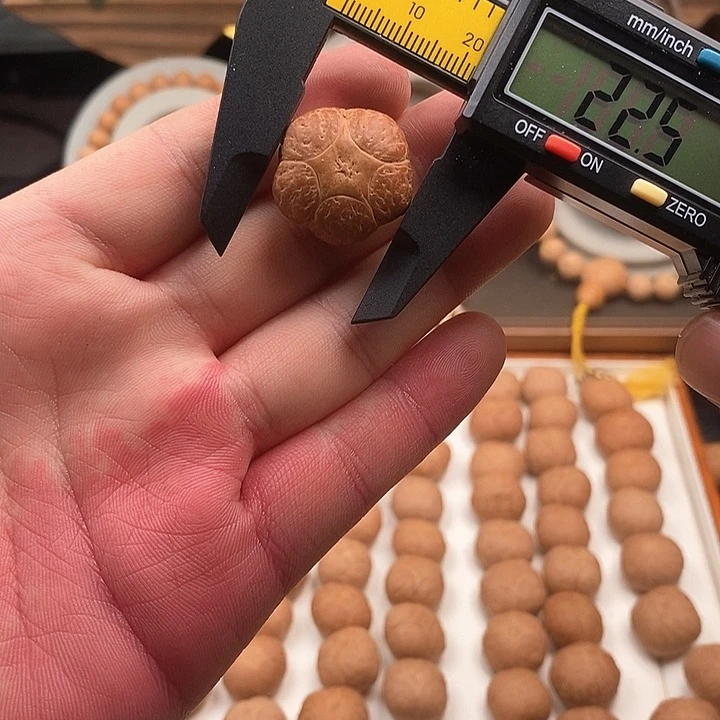 吊坠凤眼菩提尼泊尔菩提22.5梅花五星