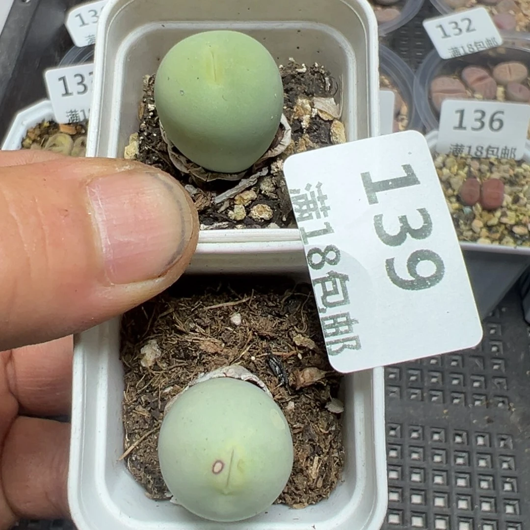 【闪购商品】 139。