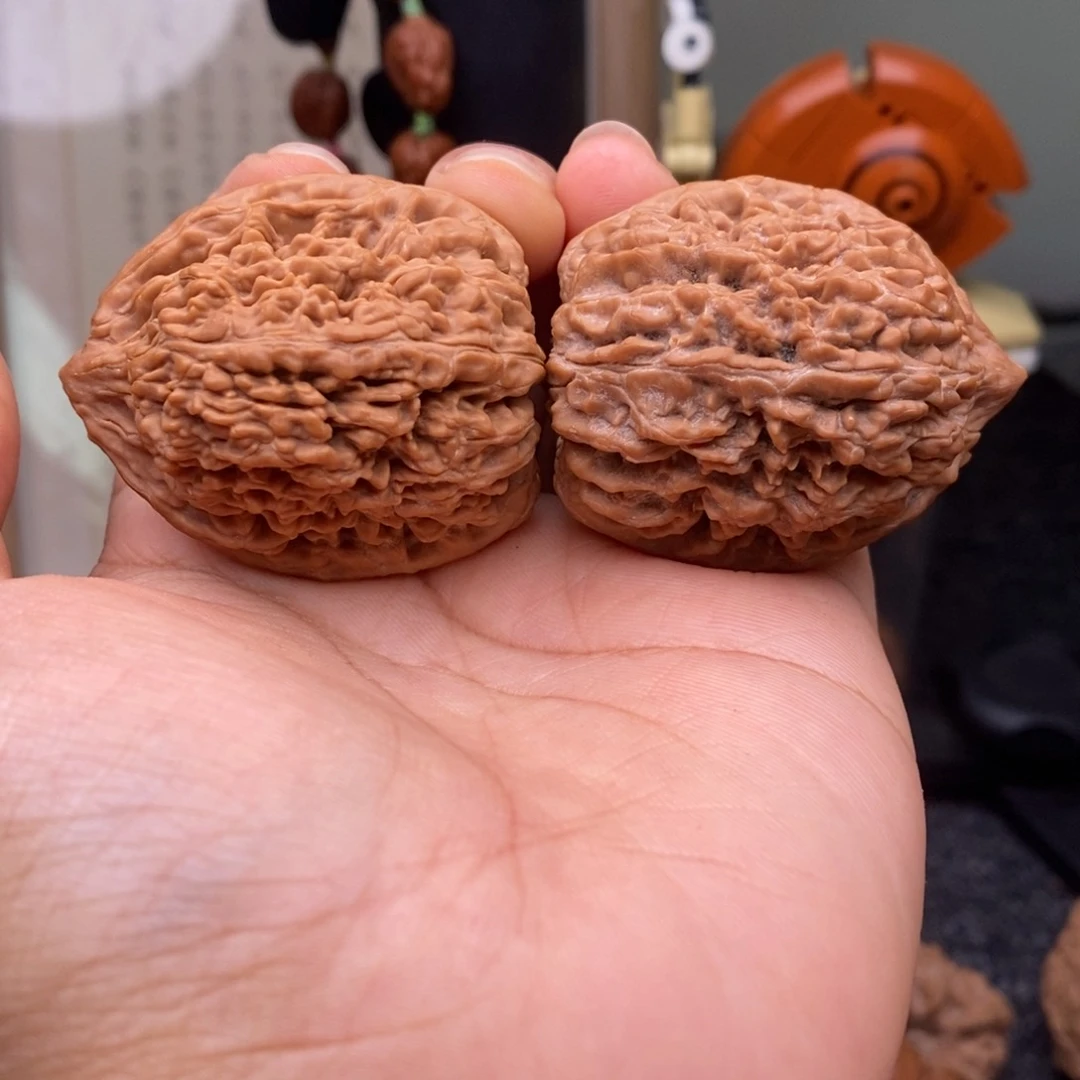 文玩核桃把件消****。111111111111