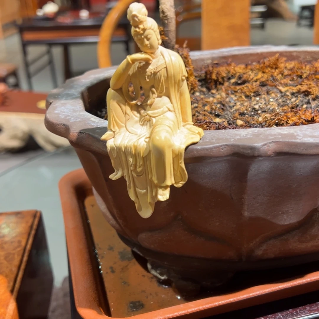 红酸枝木类成套家具黄杨木水月观音