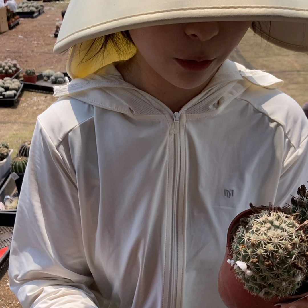 2-20蓬莱宫仙人球2颗