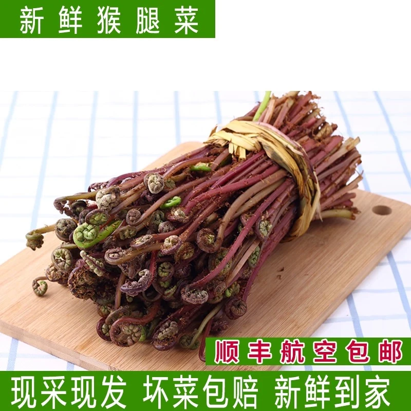 [当日采摘]东北野生 猴子腿 / 猴腿菜 顺丰京东包邮 天然山野菜