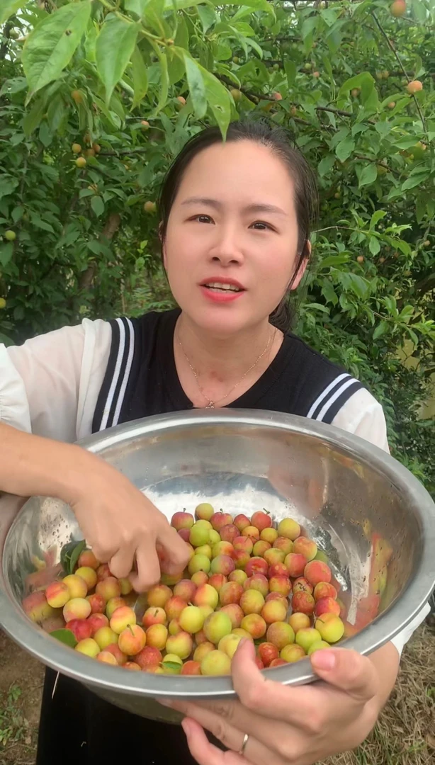 自家酸甜小李子儿时味道！卖相不好介意慎拍！