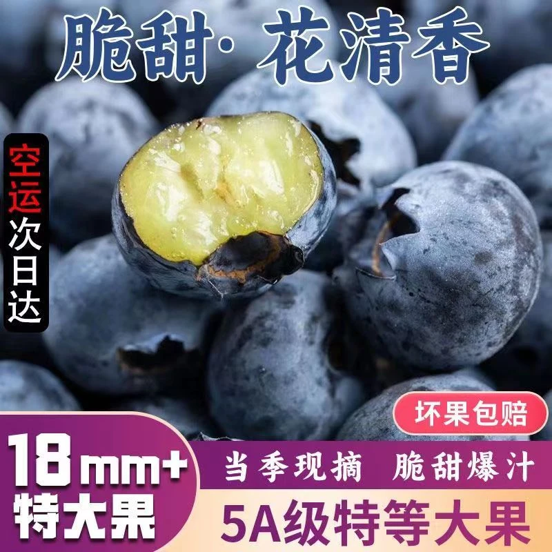 【特大果王】现摘蓝莓高山花香脆甜蓝莓新鲜蓝莓宝宝辅食孕妇水果