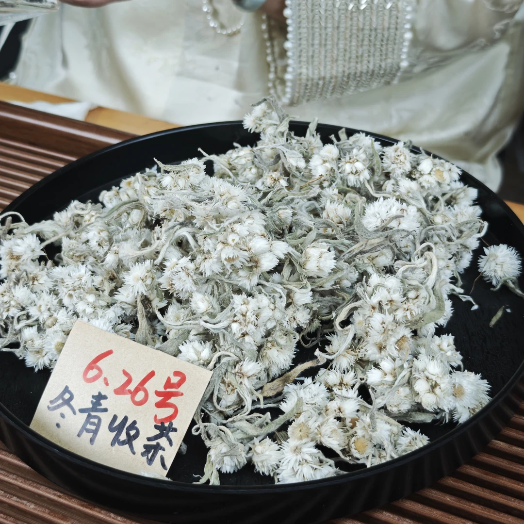 藏川雪莲  甘孜海螺沟高寒生长  冬青收茶