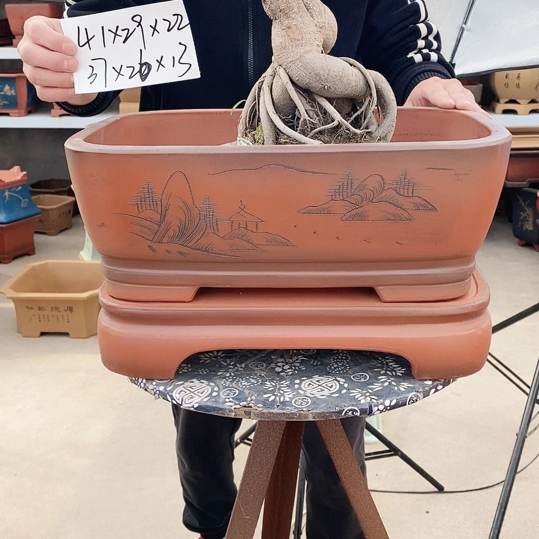 紫砂花盆紫砂花盆