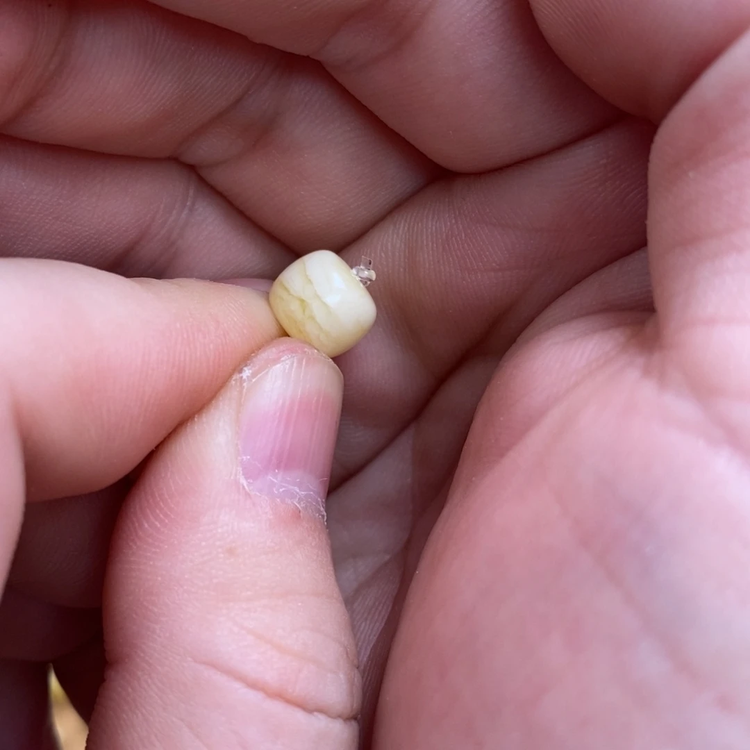 ****美蜜蜡未镶嵌裸石配饰