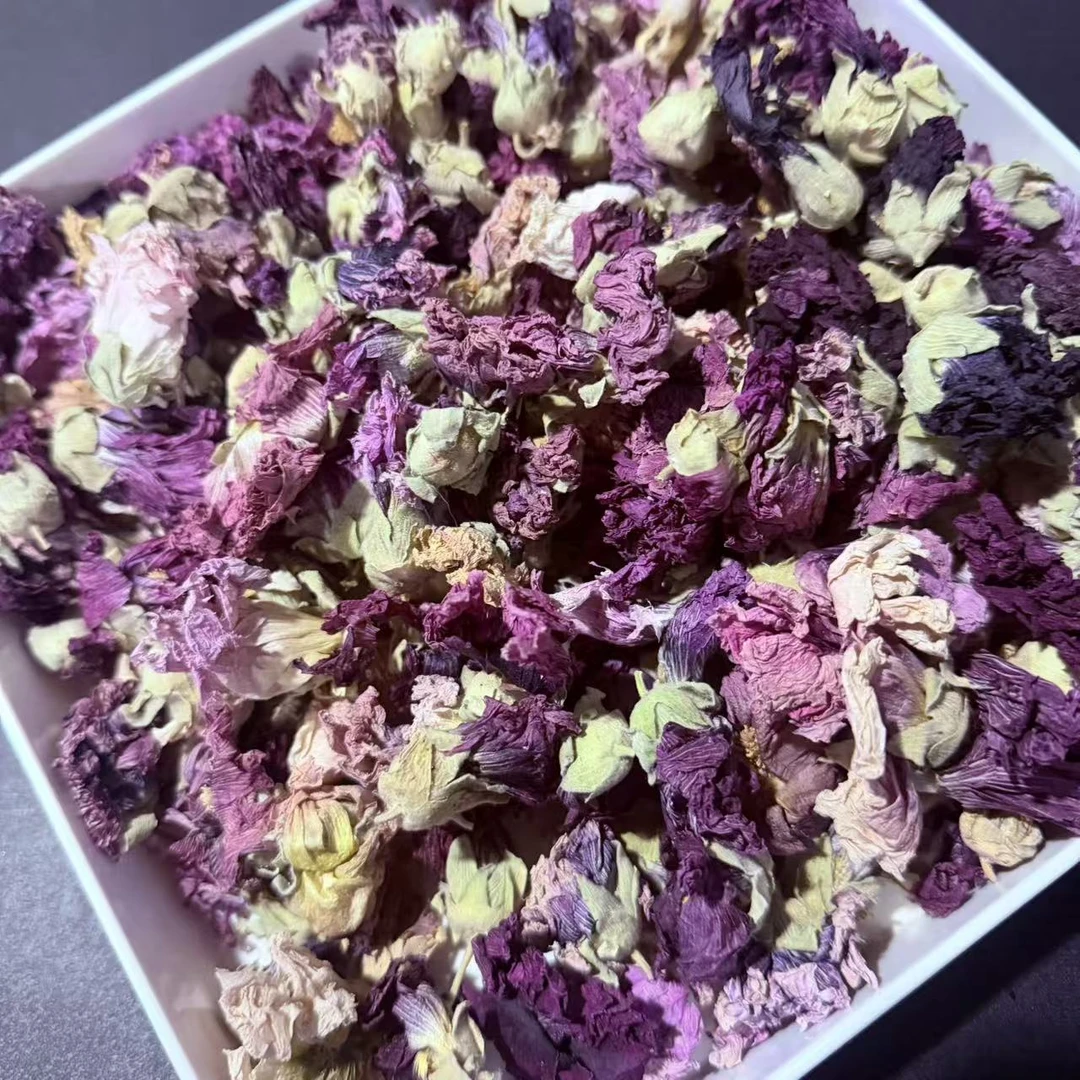 水母紫雪莲 百搭茶茶代用