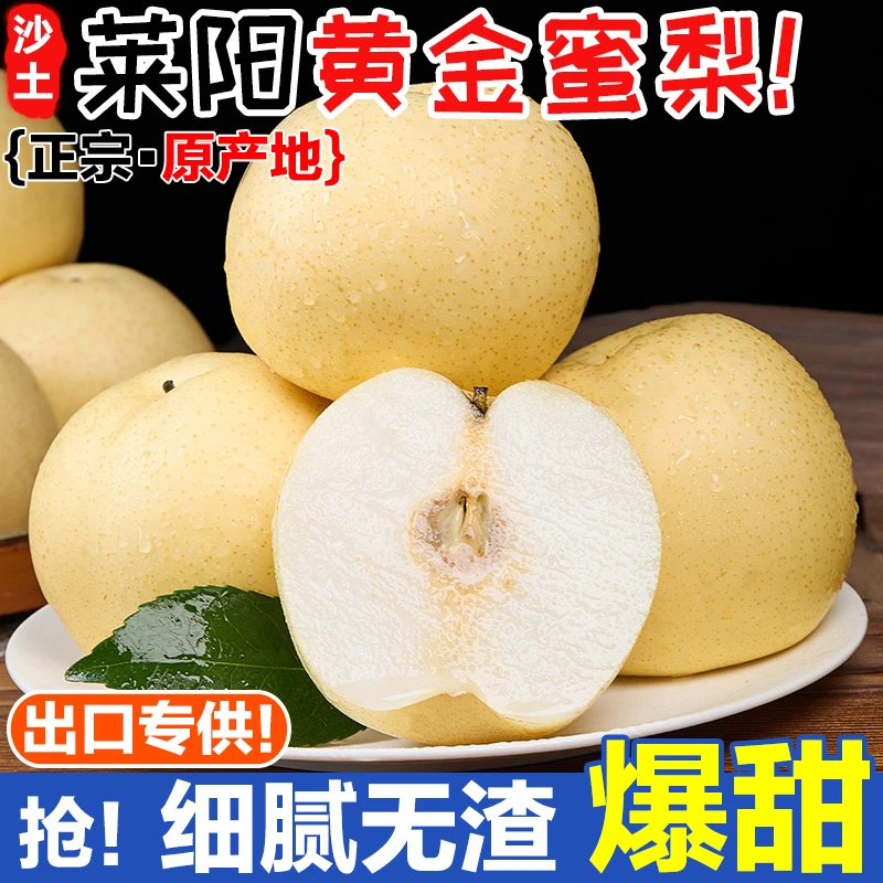 山东烟台莱阳黄金梨新鲜水果应季梨子非秋月梨皇冠梨雪梨