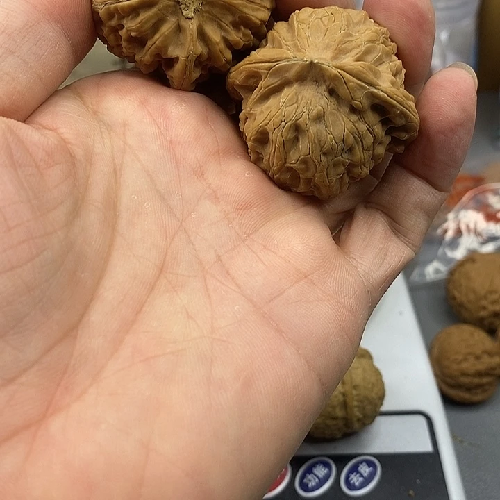 文玩核桃把件你**网宫灯