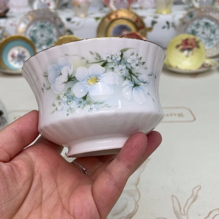 盘维多利亚欧洲中古