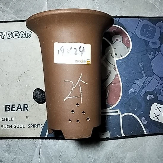 大号兰花两个花盆