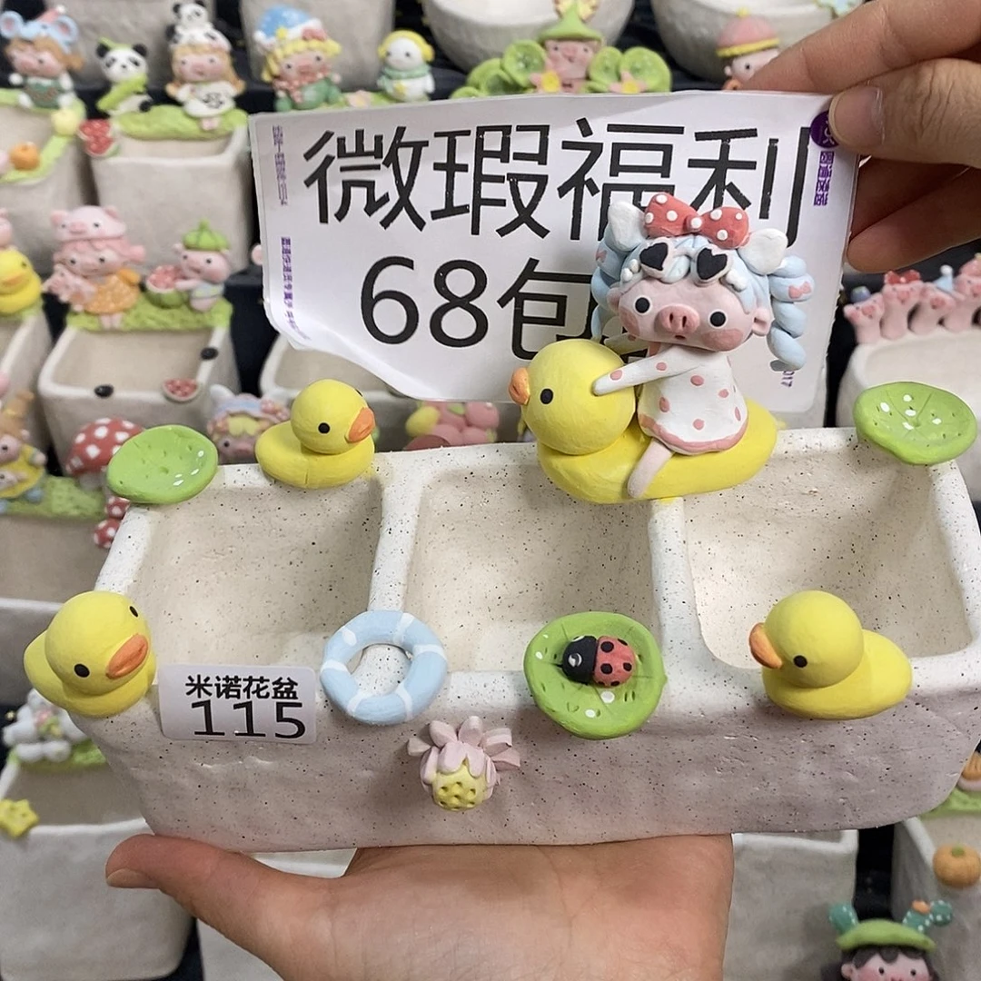 米诺多肉植物花盆115