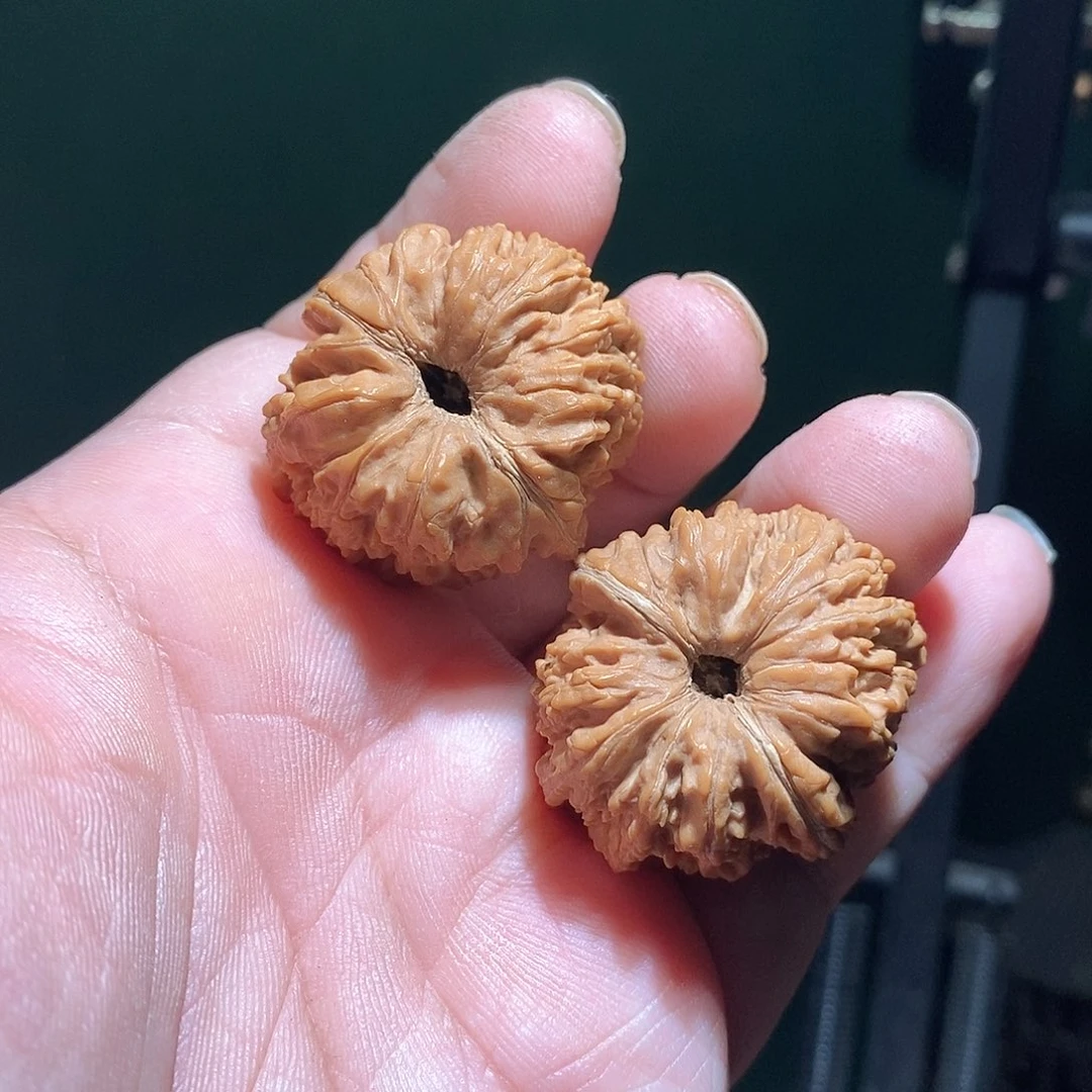 文玩核桃把件33尺137狮子头全品