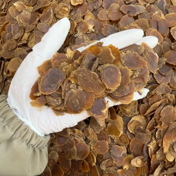 高丽参大片泡蜂蜜