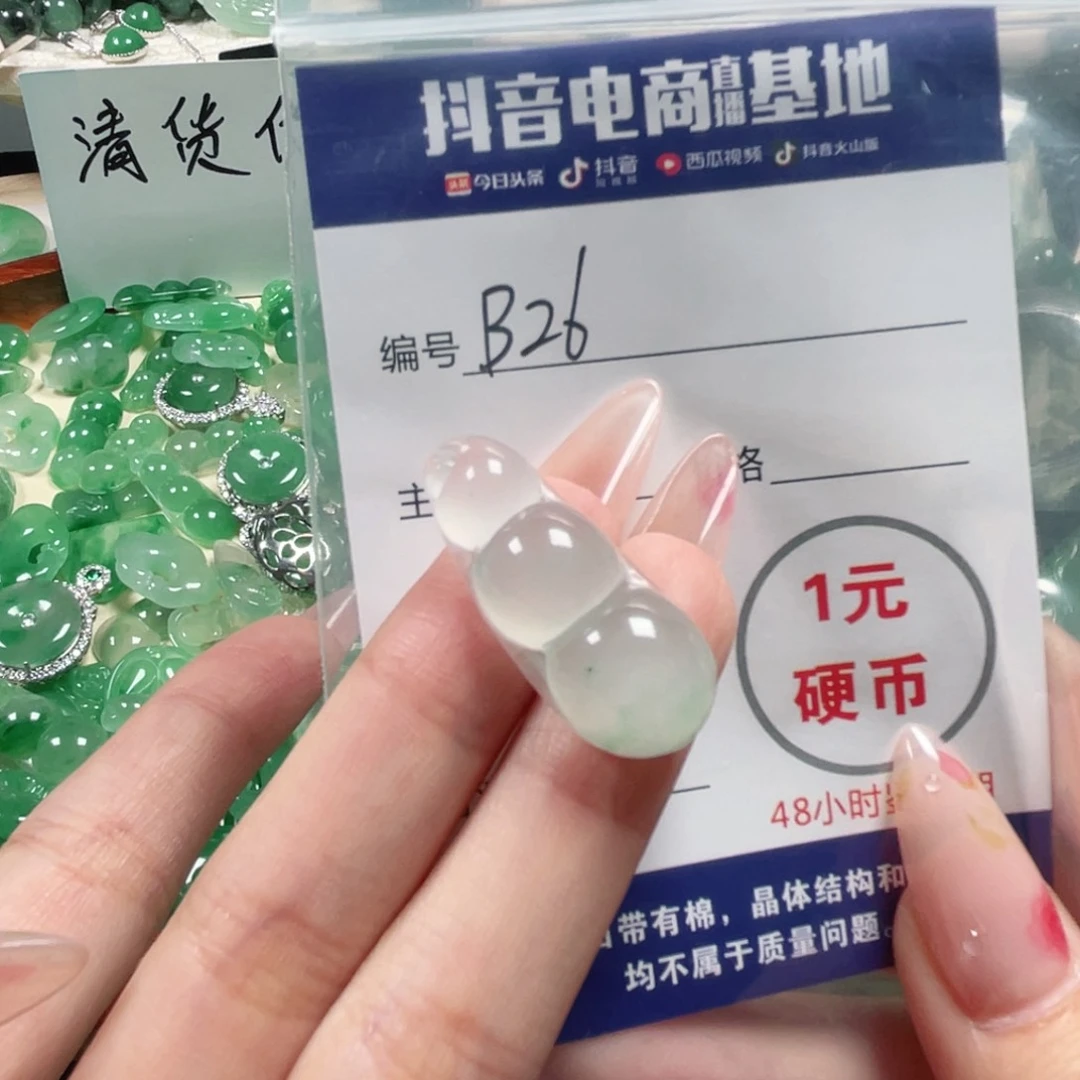 石英质玉未镶嵌颈饰