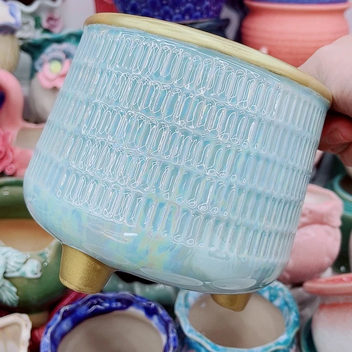 多肉植物陶瓷花盆