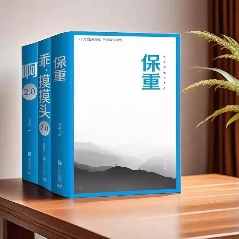 保重（大冰全新作品！专享语音明信片）