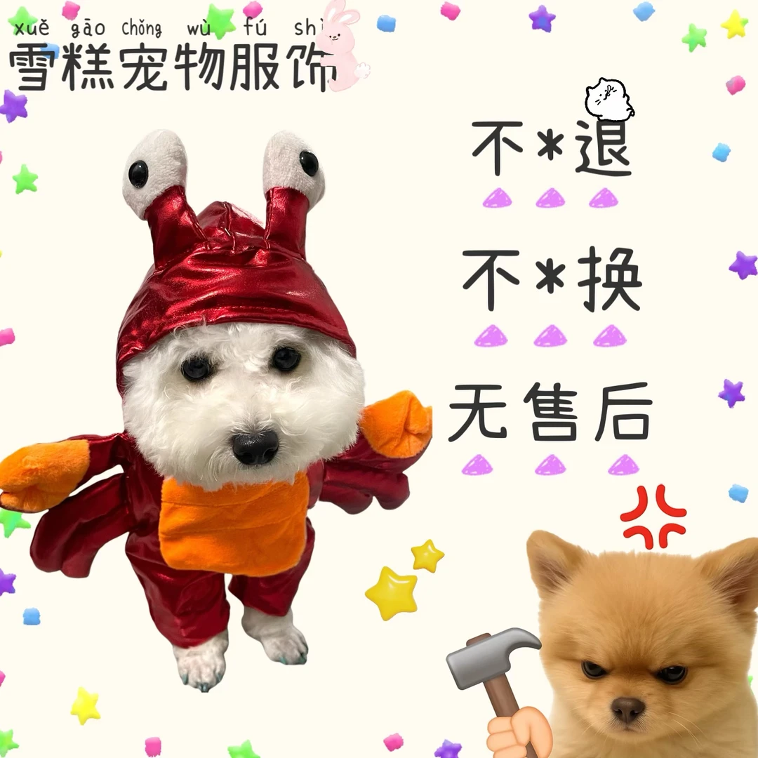 101-200宠物服饰外贸孤品默认微瑕no退no换