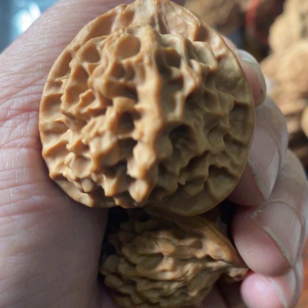 秦岭山脉东面至黄河西