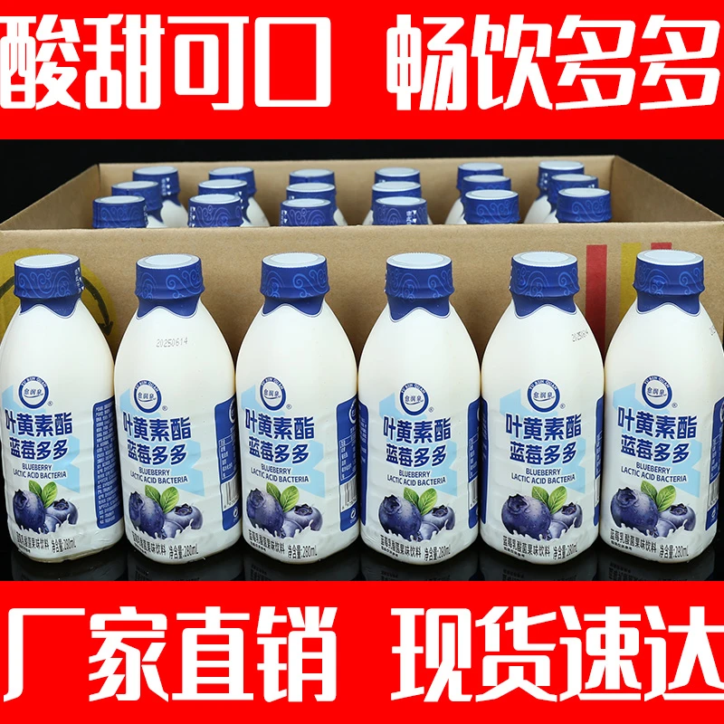 【日期新鲜】蓝莓多多风味奶昔280ml*9瓶营养美味风味好饮品畅饮