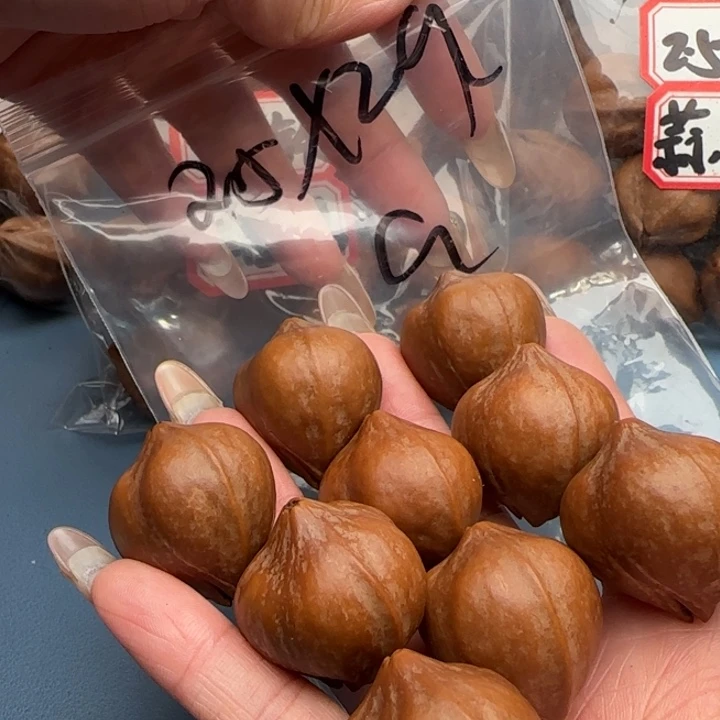 手串橄榄核橄榄核