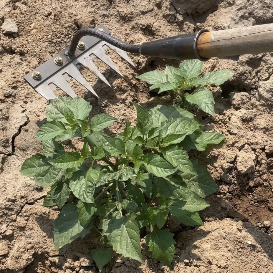 多功能除草工具多用途除草神器可撤卸钉耙翻土锄头农用家用搂草耙