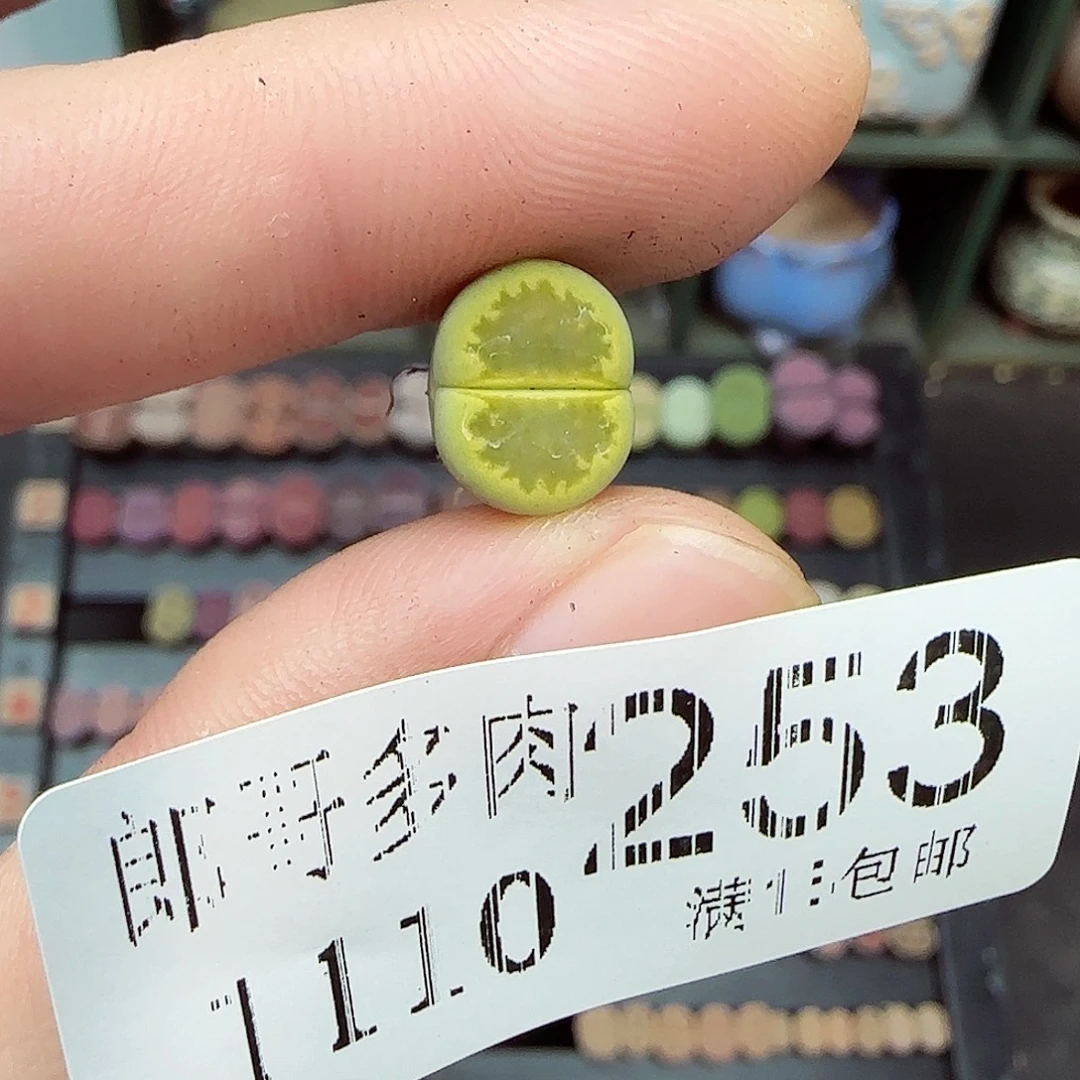 y***ㅤ满满18包邮1110-253