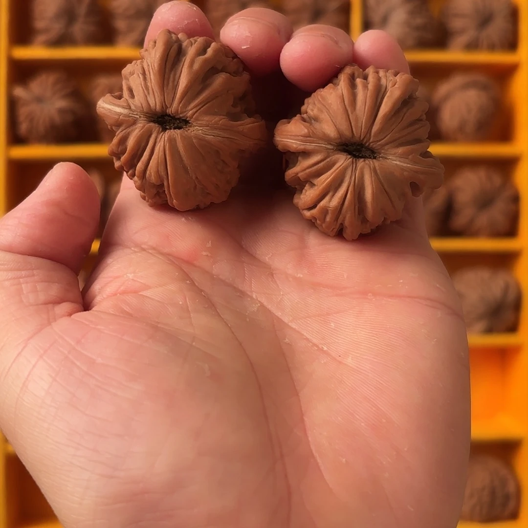手串/手链核桃58888