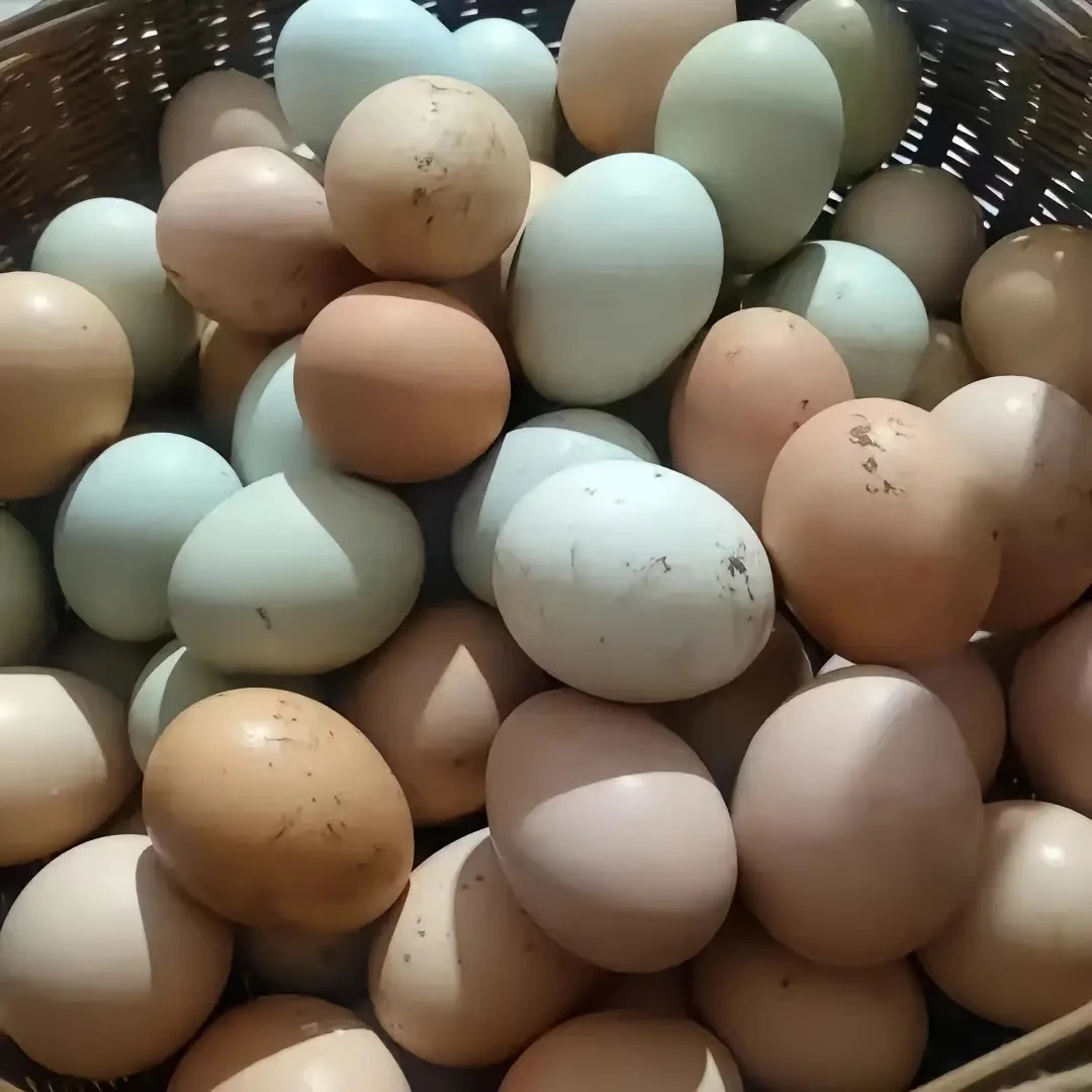 【红锦哥代收】农家土鸡蛋