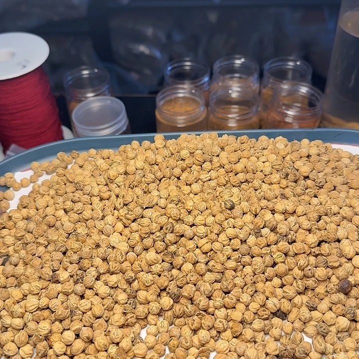 云***）柏香籽/百香籽吊坠1200克CW16