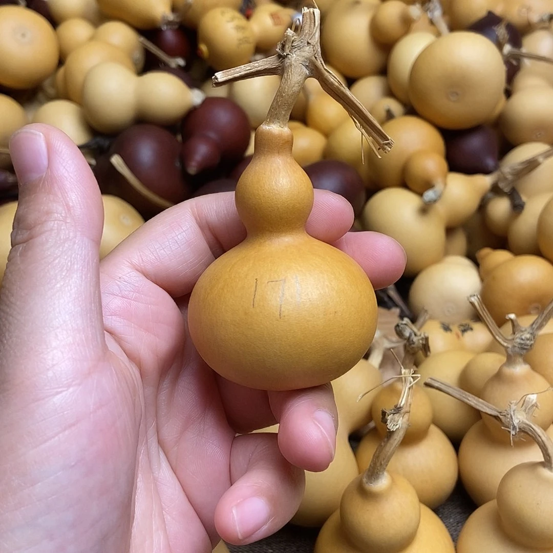 文玩葫芦 非完美主义者 慎拍171