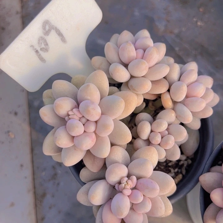 健健康康平平安安