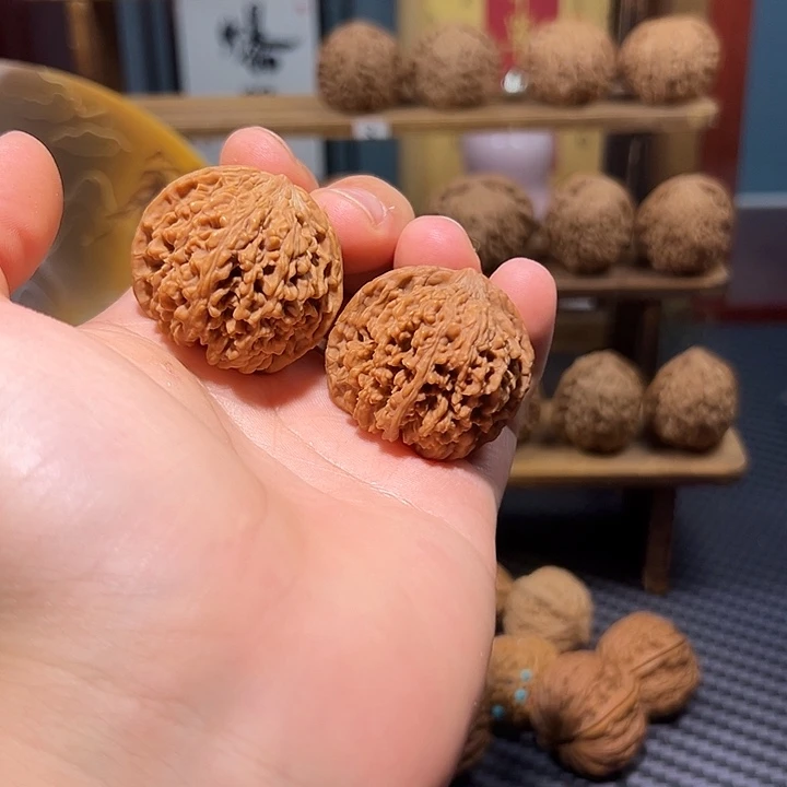 核桃把件特架QQ星满天星体验对