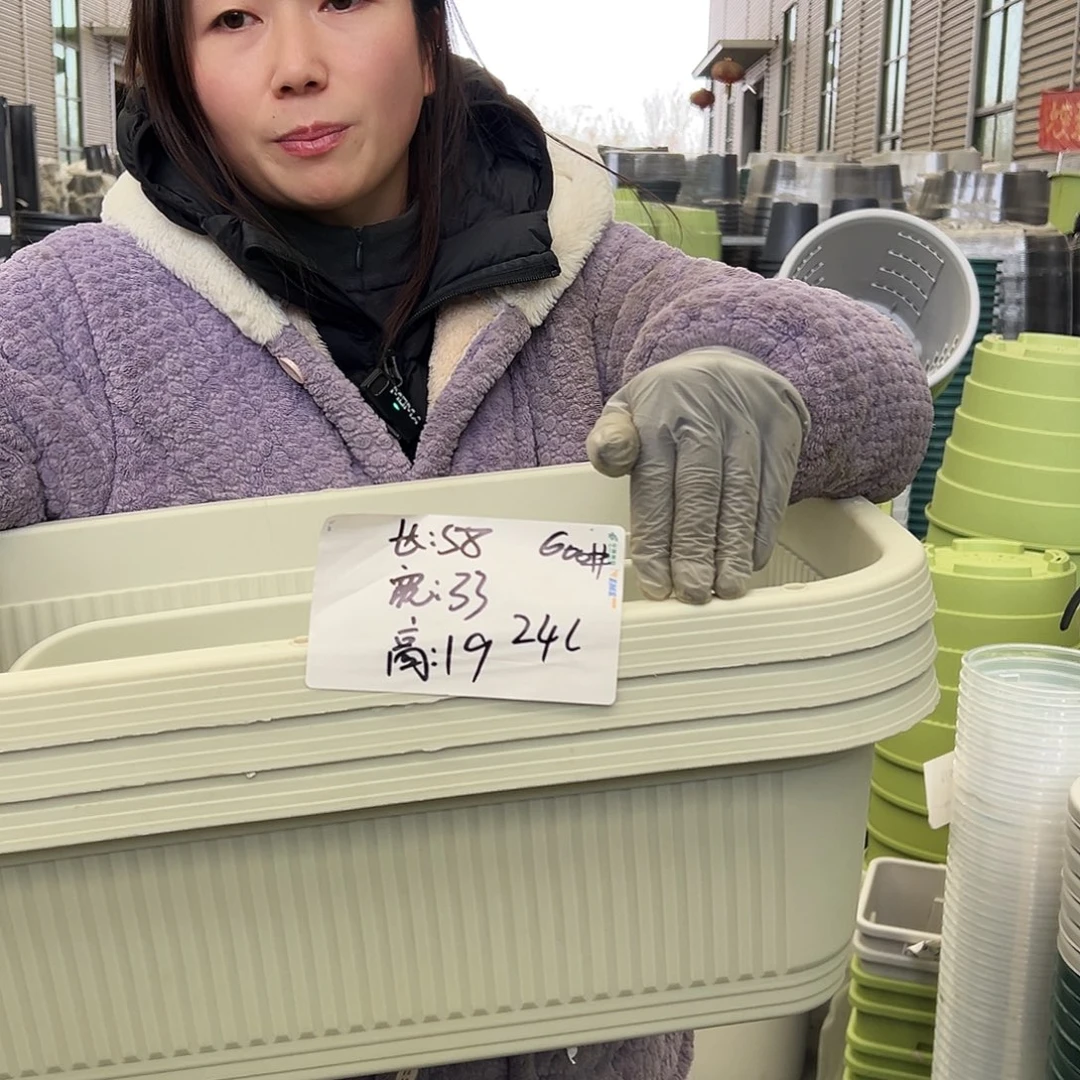 菜盆600#米白3个无托