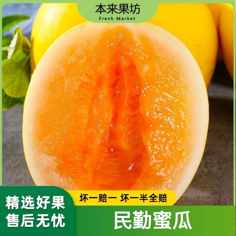 【本来果坊】 甘肃民勤蜜瓜 新鲜应季 水果甘甜 产地发货
