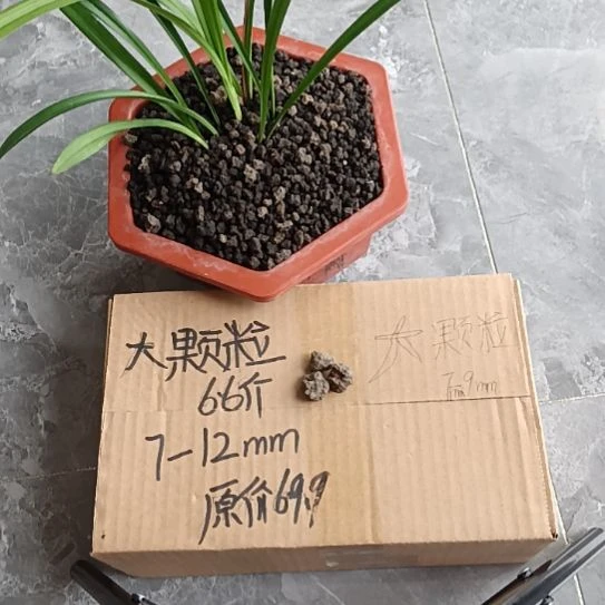 山***意兰菌黑山土大颗粒6.6斤
