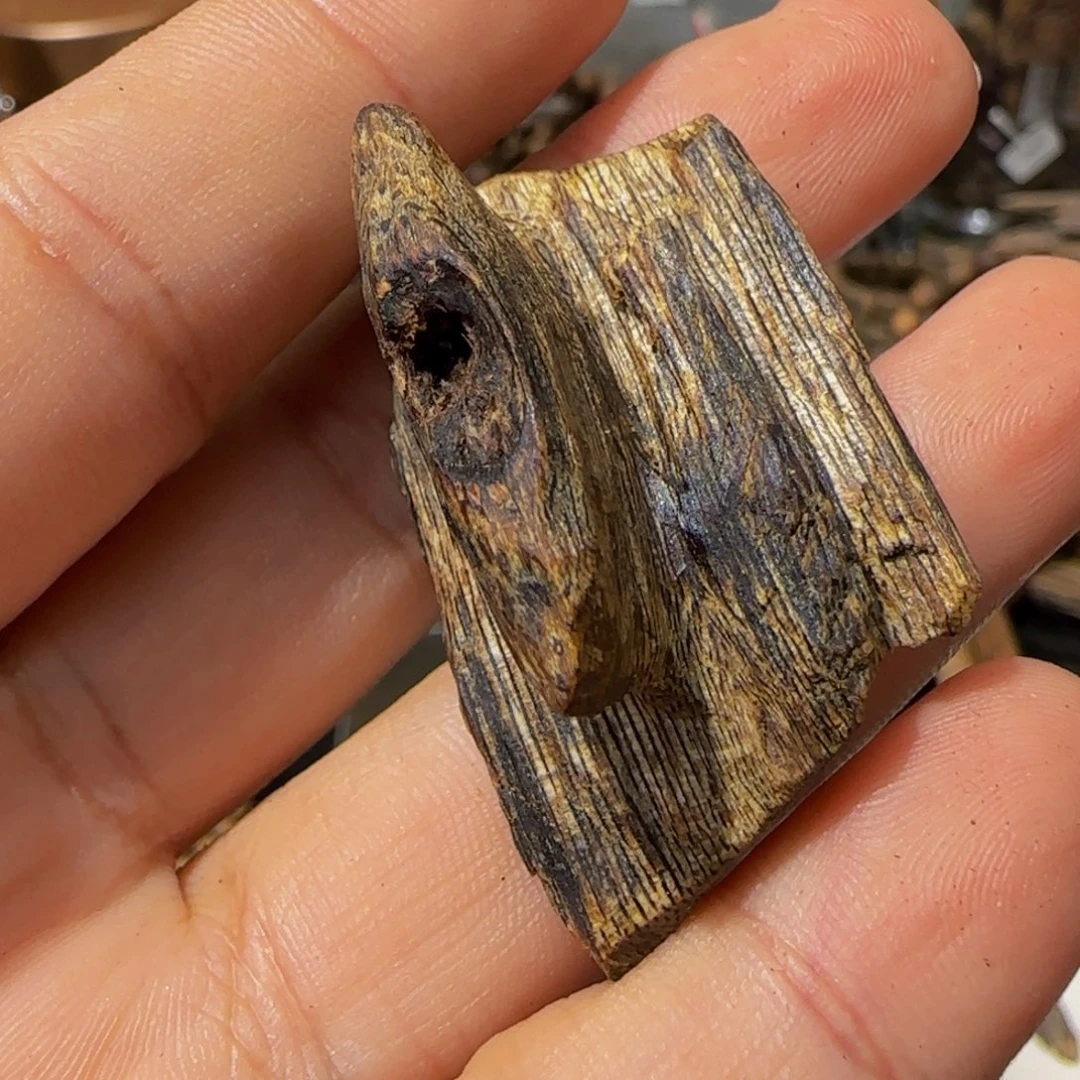 伴***雨沉香沉香碎屑母树紫棋龙骨标本